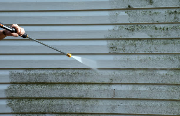 Best Deck Cleaning Services  in Ivanhoe, TX
